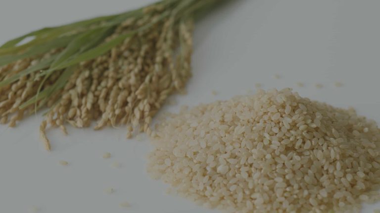 Variety of lentils and pulses