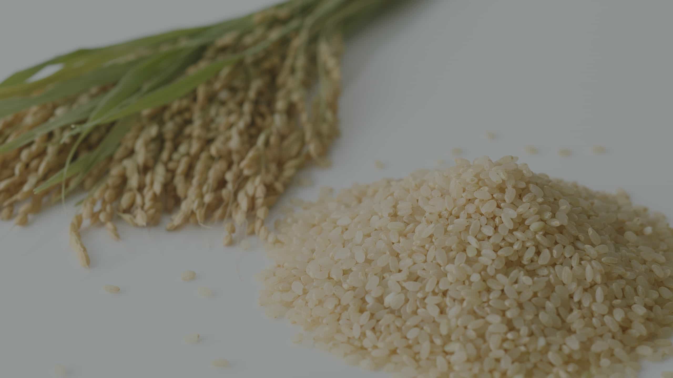 Variety of lentils and pulses