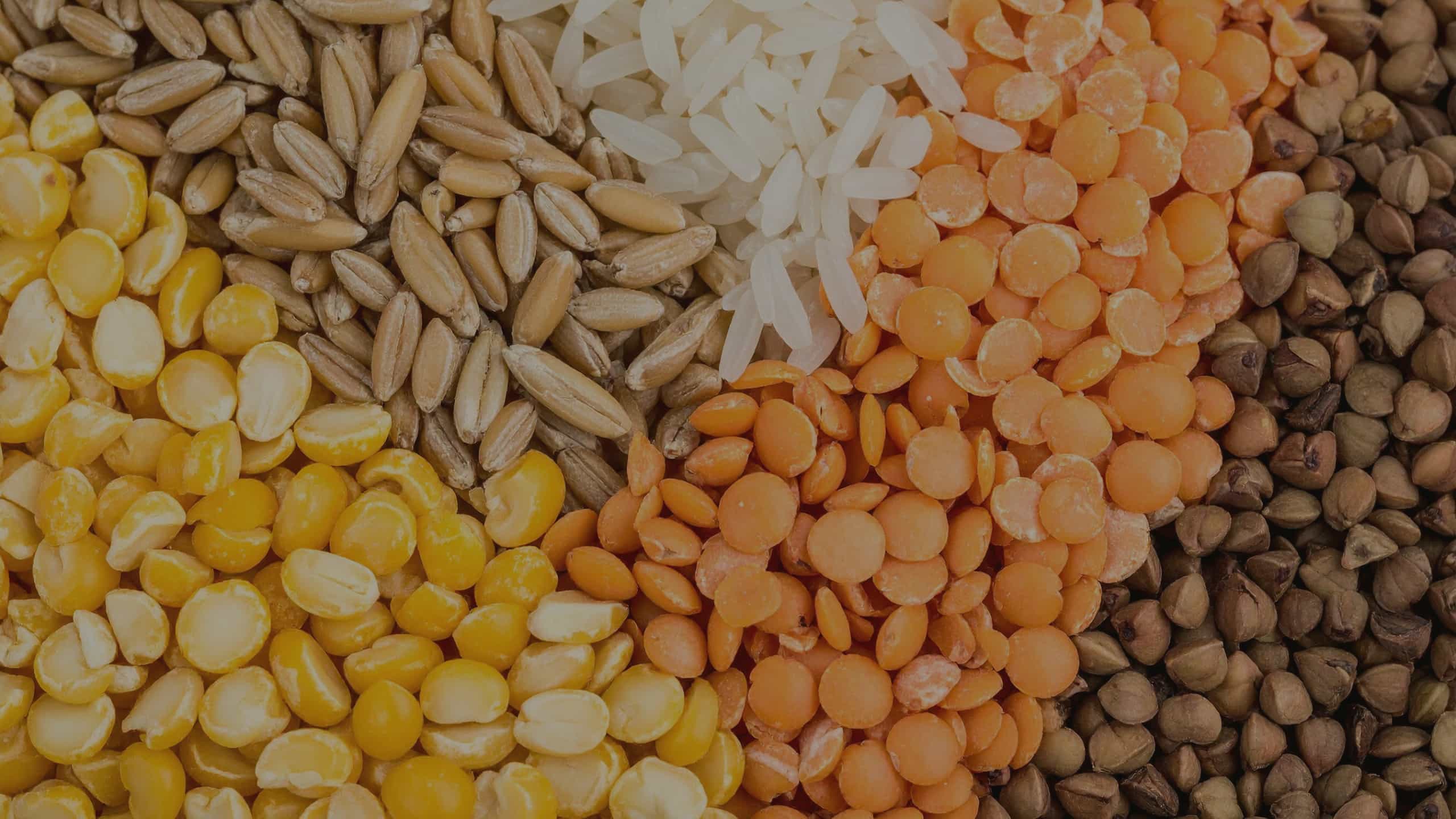 Raw Basmati rice grains in a bowl