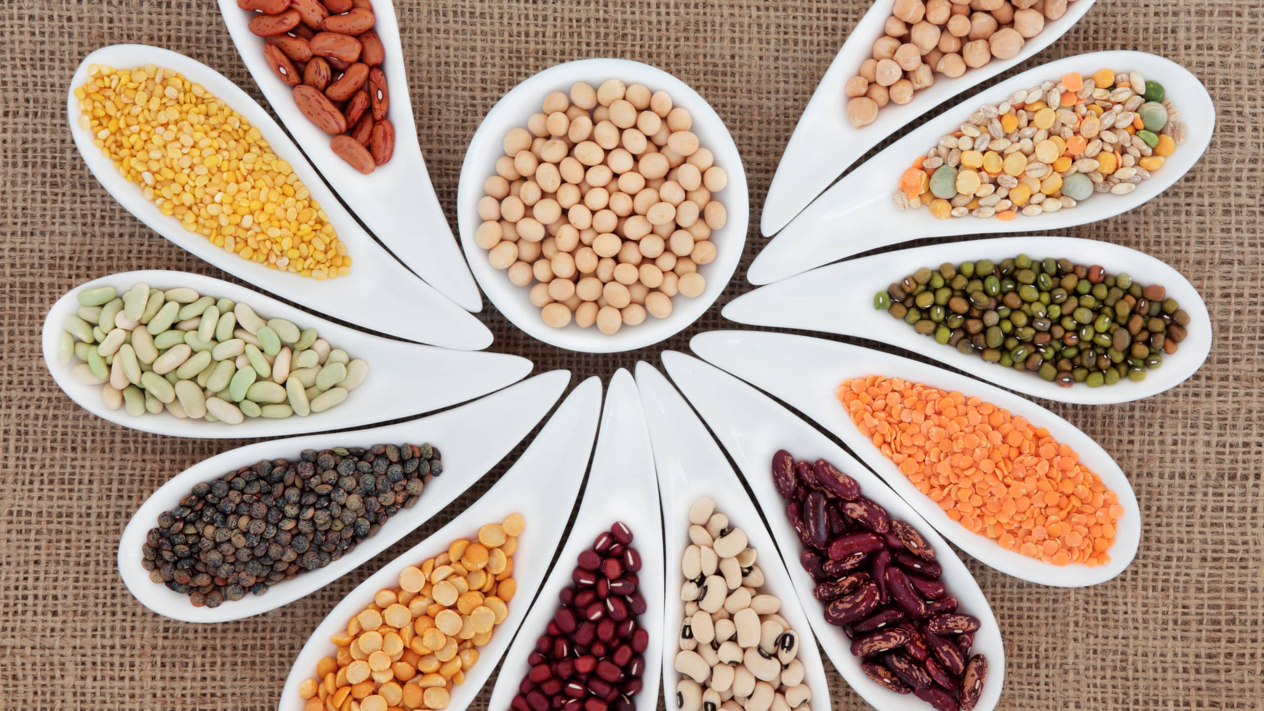 Premium basmati rice grains