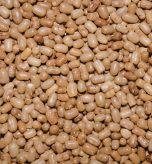 Premium pulse processing hero image