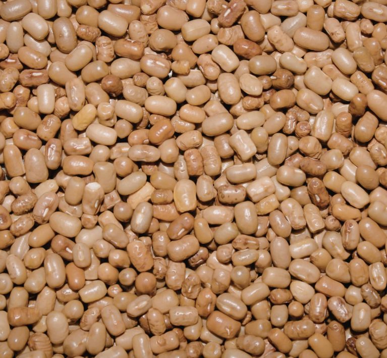 Premium pulse processing hero image