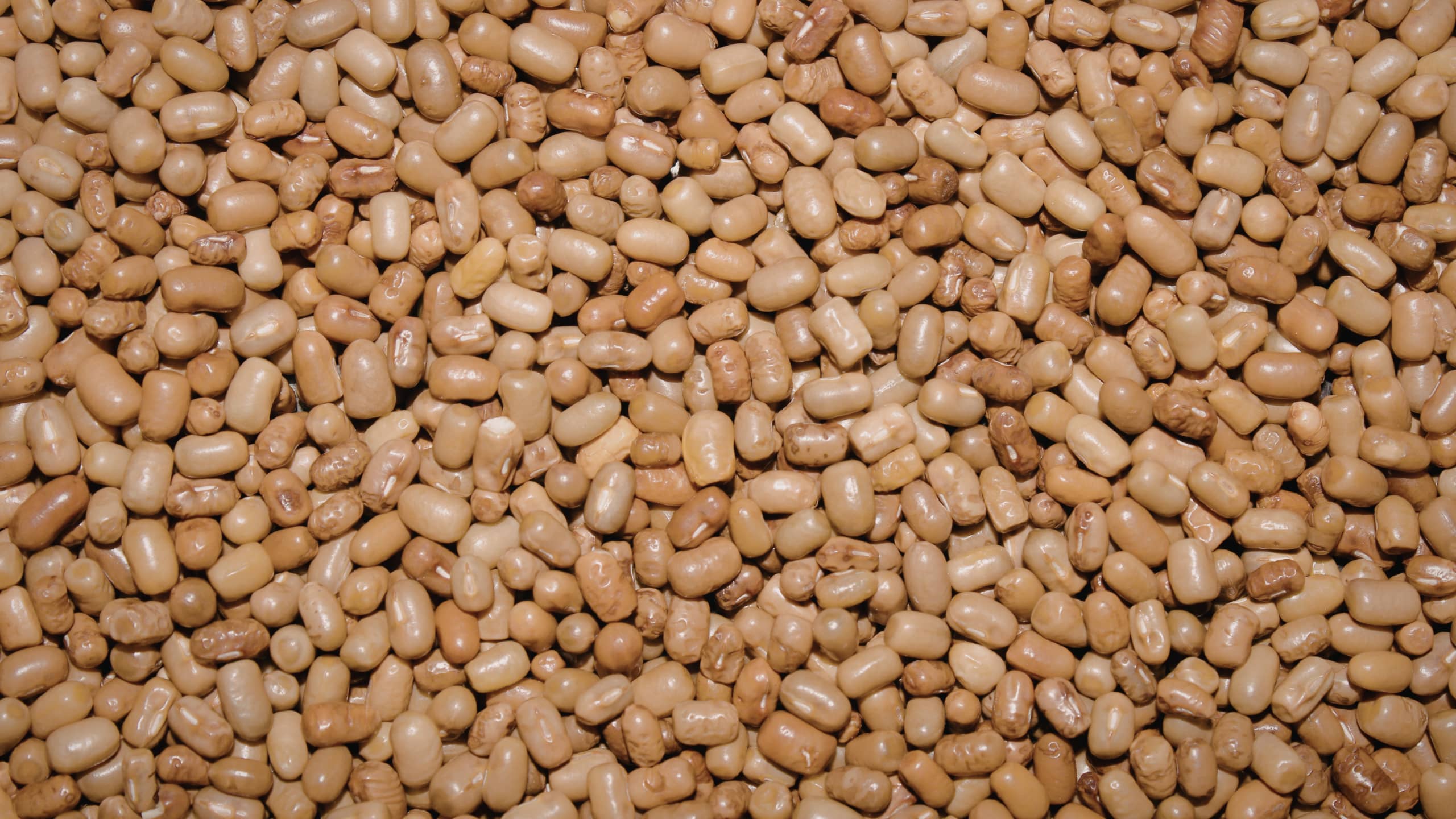 Premium pulse processing hero image